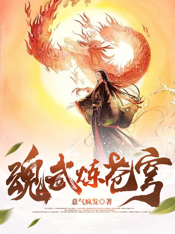 魂武魔穹小说
