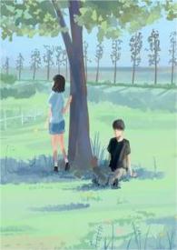 夏日终曲日语歌
